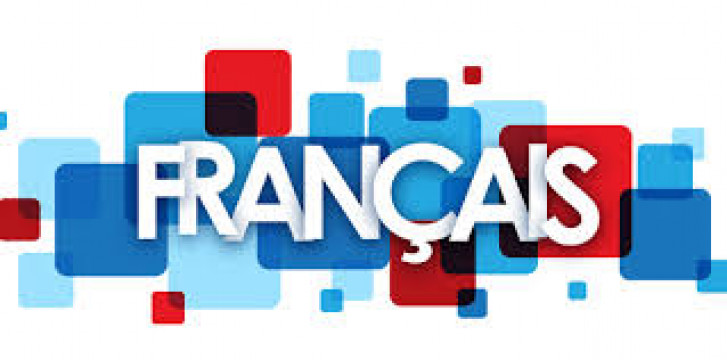 Ofer meditatii română franceză matematică